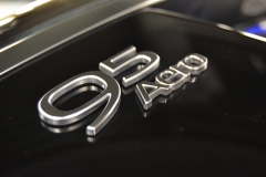 saab-auction-tjrn_8967898002_o