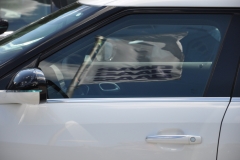 saab-meeting-kiel_14481737194_o