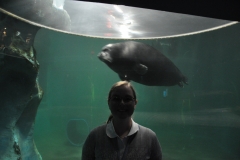 dsc_0203_27092395289_o