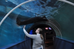 dsc_0207_24997441698_o