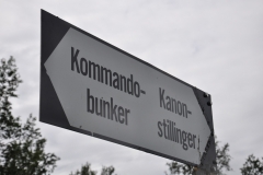 dsc_0225_37982317665_o