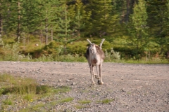 dsc_0495_38868818621_o