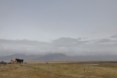 2018-iceland-faroe-islands_28147848497_o