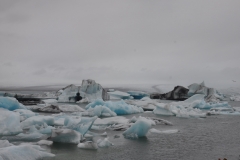 2018-iceland-faroe-islands_29144448678_o