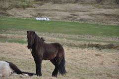 2018-iceland-faroe-islands_42297890744_o