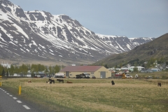 2018-iceland-faroe-islands_42966717582_o