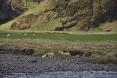 2018-iceland_29125129928_o