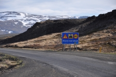 2018-iceland_42278936024_o