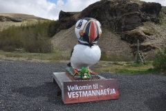 2018-iceland_42947759262_o