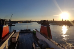 1_20181013_174420_31447069718_o