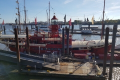 20181012_1457070_31446990208_o